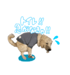 りあんスタンプ②（個別スタンプ：7）