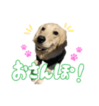 りあんスタンプ②（個別スタンプ：8）