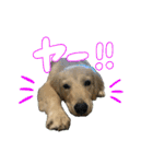 りあんスタンプ②（個別スタンプ：9）