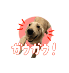 りあんスタンプ②（個別スタンプ：10）