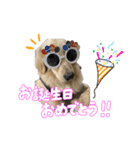 りあんスタンプ②（個別スタンプ：13）