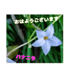 「おはようございます」 山野草のお花を（個別スタンプ：5）