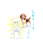 くすっと笑える仙人の犬種ダジャレPop-Up（個別スタンプ：9）