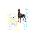 くすっと笑える仙人の犬種ダジャレPop-Up（個別スタンプ：13）