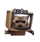 猫ミーム【パソコン猫】（個別スタンプ：1）