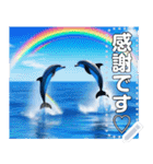 イルカと海と綺麗な虹♡文字変更自由（個別スタンプ：3）