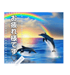 イルカと海と綺麗な虹♡文字変更自由（個別スタンプ：5）