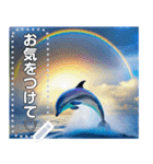 イルカと海と綺麗な虹♡文字変更自由（個別スタンプ：7）