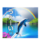 イルカと海と綺麗な虹♡文字変更自由（個別スタンプ：13）