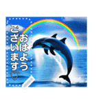 イルカと海と綺麗な虹♡文字変更自由（個別スタンプ：20）