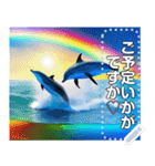 イルカと海と綺麗な虹♡文字変更自由（個別スタンプ：22）