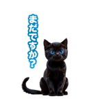 青い目の黒猫（個別スタンプ：9）