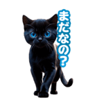 青い目の黒猫（個別スタンプ：10）