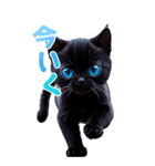 青い目の黒猫（個別スタンプ：13）