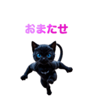 青い目の黒猫（個別スタンプ：24）