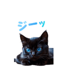 青い目の黒猫（個別スタンプ：39）