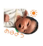 おたからすたんぷ5（個別スタンプ：1）