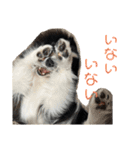 おたからすたんぷ5（個別スタンプ：26）