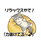 笑顔を運ぶ猫たち ♡ ポジティブ（関西弁）（個別スタンプ：16）