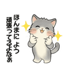 笑顔を運ぶ猫たち ♡ ポジティブ（関西弁）（個別スタンプ：19）