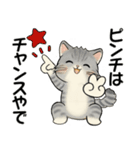 笑顔を運ぶ猫たち ♡ ポジティブ（関西弁）（個別スタンプ：24）