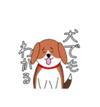 沢山使えるビーグル犬（個別スタンプ：3）