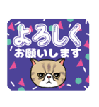 【エキゾ】動く！ポップなPop-Up（個別スタンプ：12）