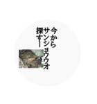 両生類・爬虫類【文字だけスタンプ】（個別スタンプ：1）