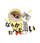 らぶおのつぶやき（個別スタンプ：3）