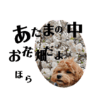 らぶおのつぶやき（個別スタンプ：5）