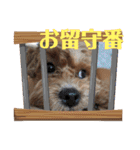 らぶおのつぶやき（個別スタンプ：8）