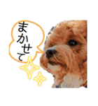 らぶおのつぶやき（個別スタンプ：10）
