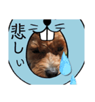 らぶおのつぶやき（個別スタンプ：14）