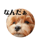 らぶおのつぶやき（個別スタンプ：17）