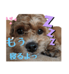 らぶおのつぶやき（個別スタンプ：20）