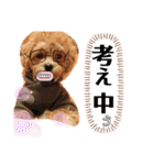 らぶおのつぶやき（個別スタンプ：21）