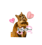 あいあむ そま（個別スタンプ：23）