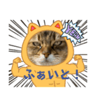あいあむ そま（個別スタンプ：27）