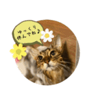 あいあむ そま（個別スタンプ：35）