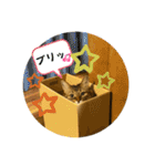 あいあむ そま（個別スタンプ：36）