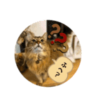 あいあむ そま（個別スタンプ：37）