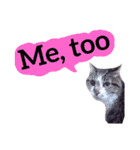 【英語版】猫もんじろう（個別スタンプ：21）