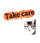 【英語版】猫もんじろう（個別スタンプ：32）