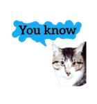 【英語版】猫もんじろう（個別スタンプ：39）