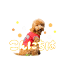 Smoky（スモーキー）（個別スタンプ：2）