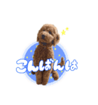 Smoky（スモーキー）（個別スタンプ：3）