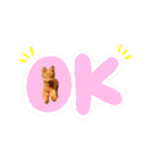 Smoky（スモーキー）（個別スタンプ：4）