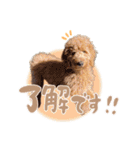 Smoky（スモーキー）（個別スタンプ：5）