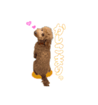 Smoky（スモーキー）（個別スタンプ：6）