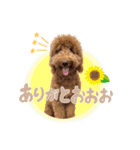 Smoky（スモーキー）（個別スタンプ：7）